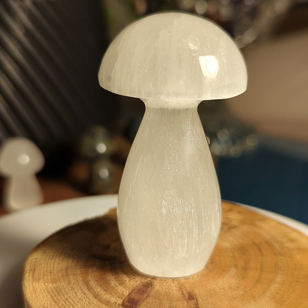 Selenite Mushroom Carving